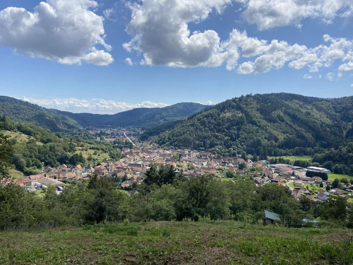 Les Noyers Du Wissbach Villa Willer-sur-Thur Eksteriør billede