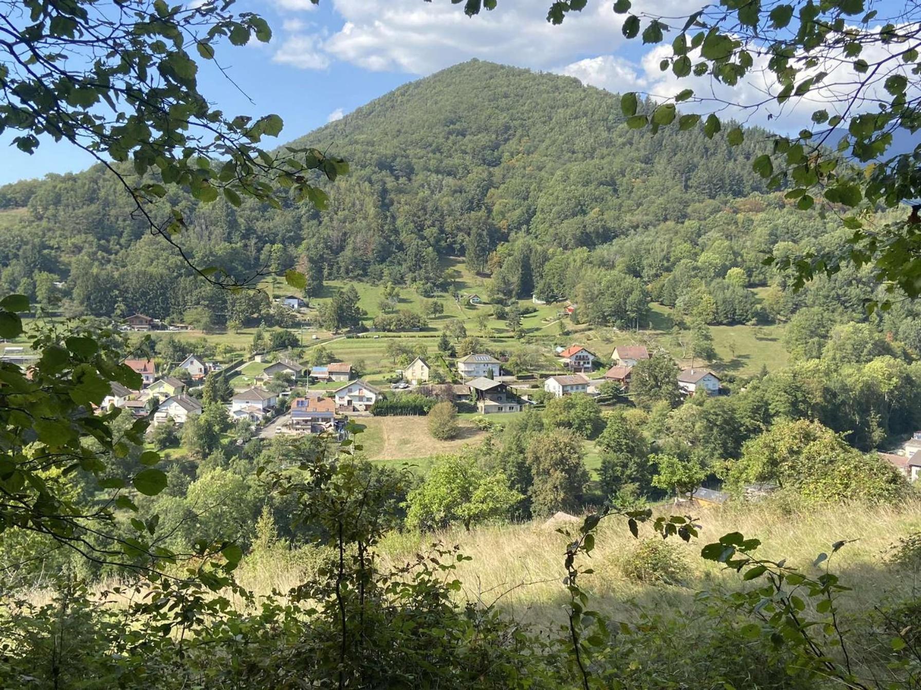 Les Noyers Du Wissbach Villa Willer-sur-Thur Eksteriør billede