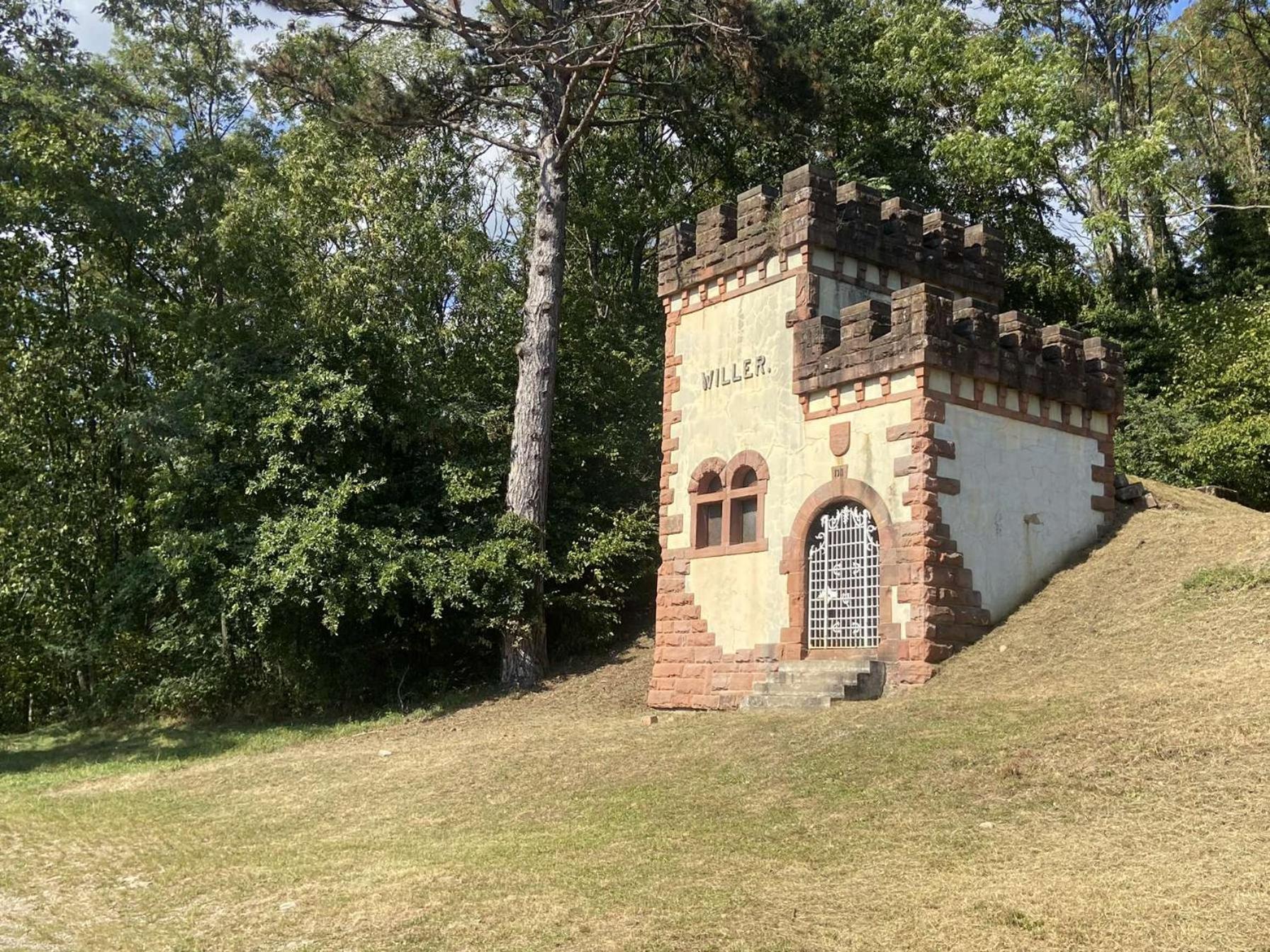 Les Noyers Du Wissbach Villa Willer-sur-Thur Eksteriør billede